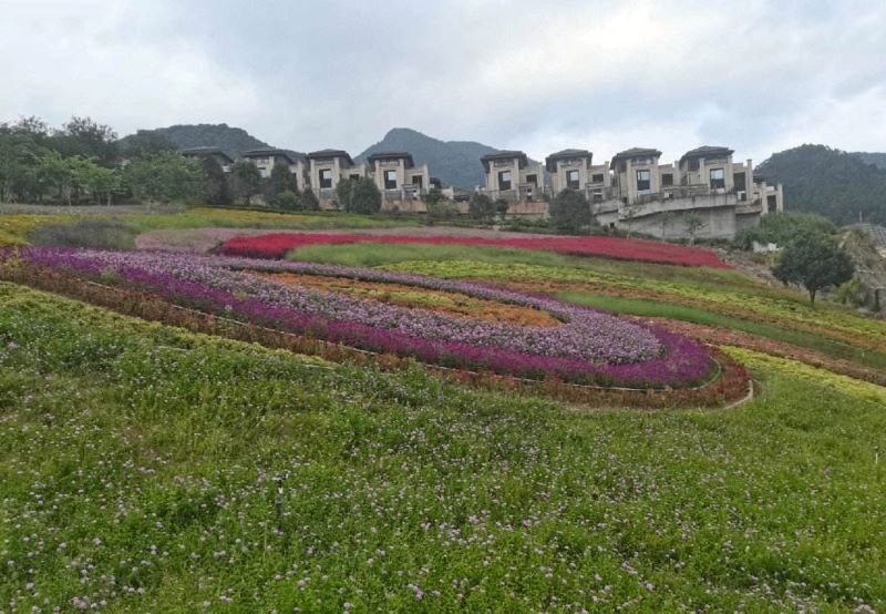 长泰十里蓝山